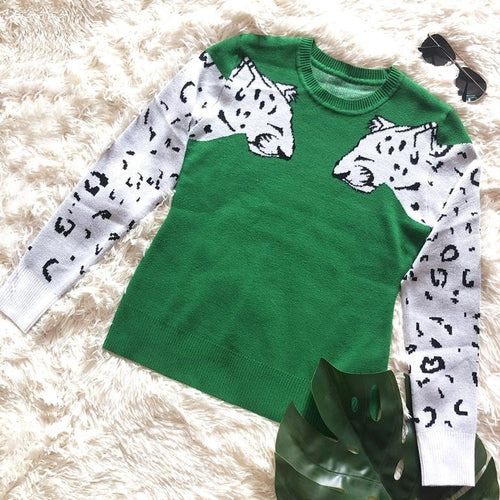 Animal print casual warm pullover women Streetwear long