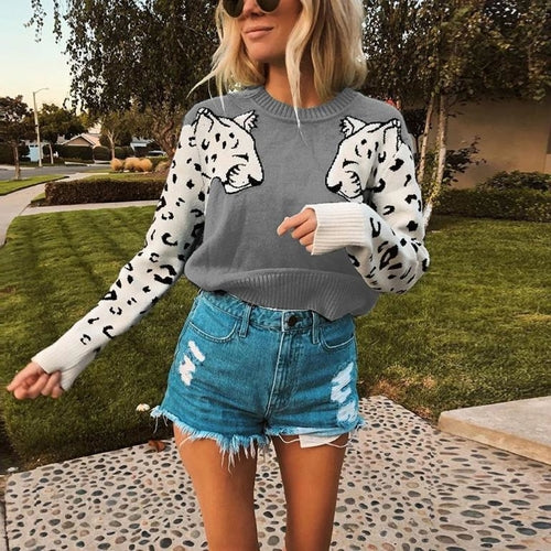 Animal print casual warm pullover women Streetwear long
